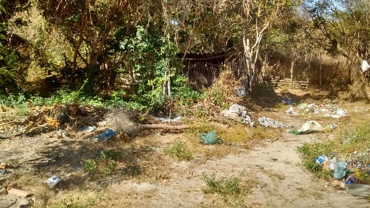 Matagal onde o material foi encontrado