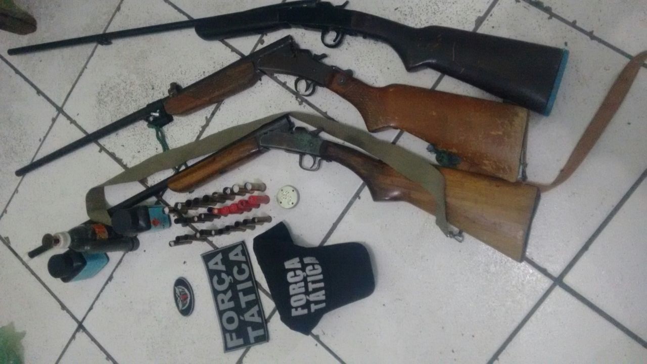 Armas apreendidas