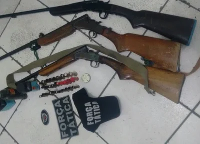 Armas apreendidas