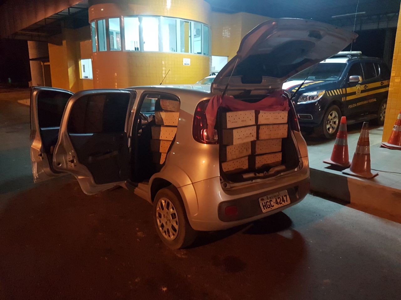 Carro que transportava os pássaros