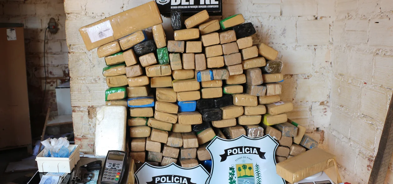 Mais de 200kg de drogas foram apreendidos