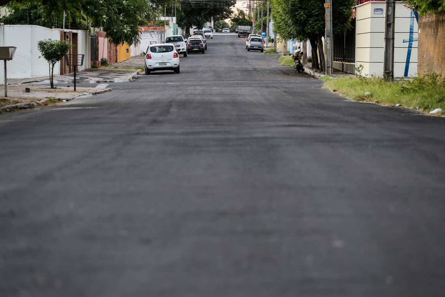 Rua Miosotis 