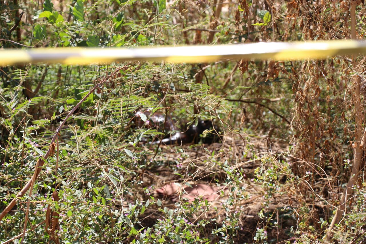 Corpo encontrado em terreno