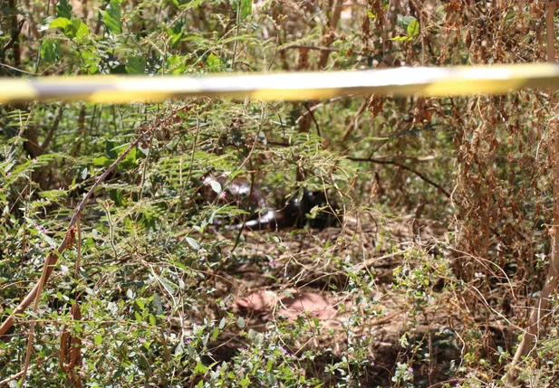 Corpo encontrado em terreno