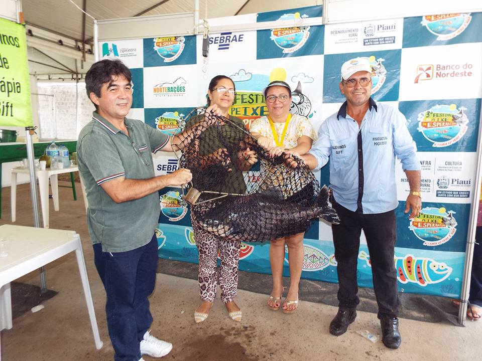 Prefeita Vilma Amorim