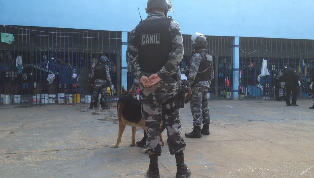 Policiais usam cães farejadores