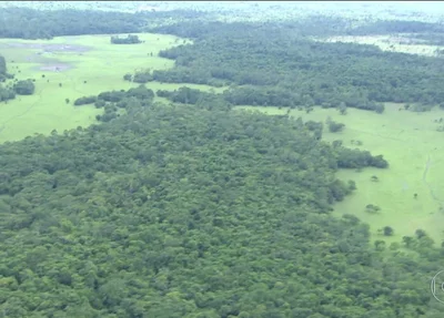 Extinta Renca, na Amazônia