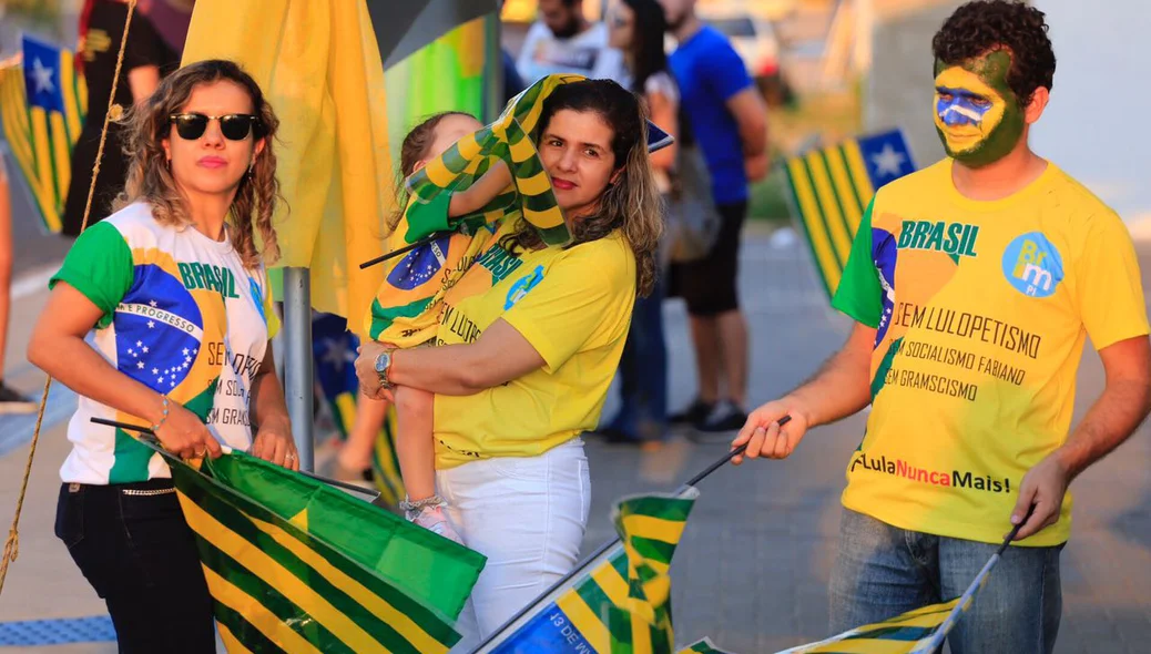 Manifestante do Movimento Vem Pra Rua