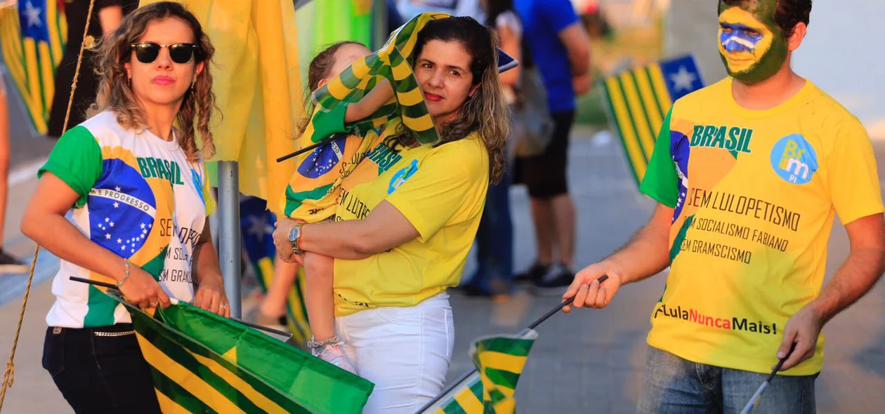 Manifestante do Movimento Vem Pra Rua