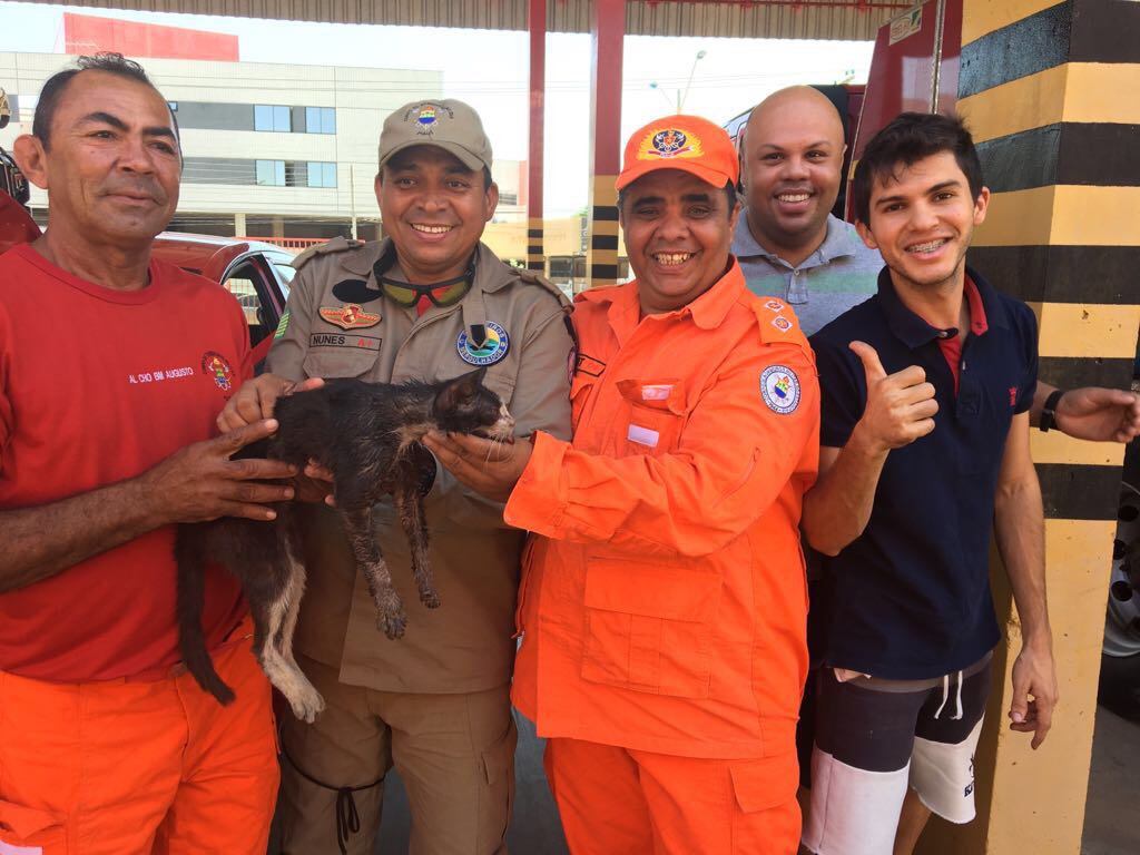 Equipe que resgatou o animal