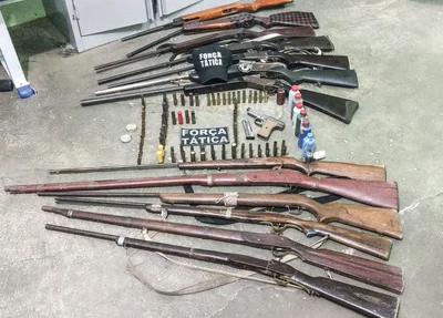 Armas apreendidas