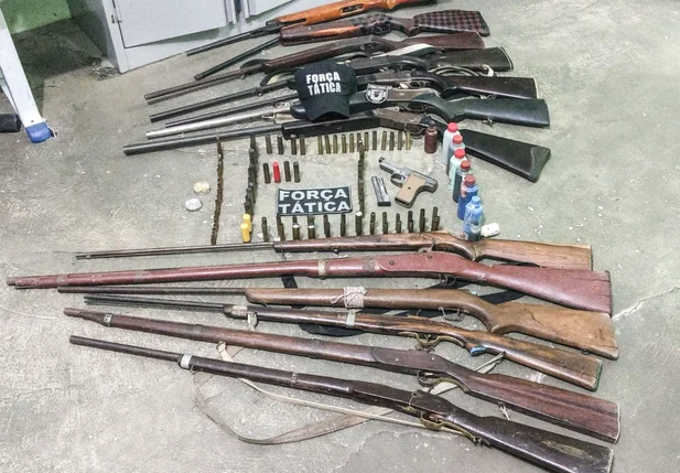 Armas apreendidas