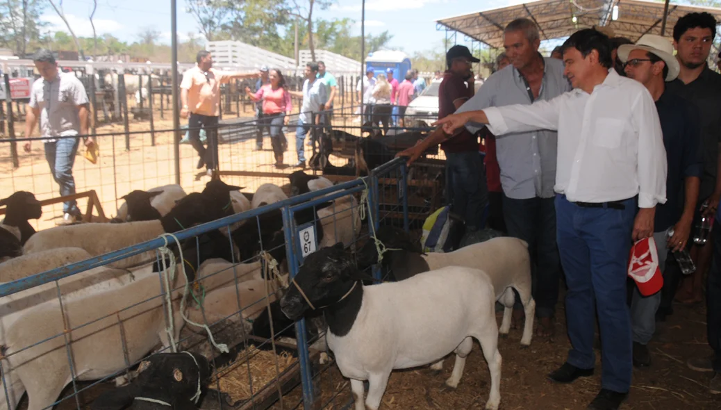 ExpoAgro de Piripiri 