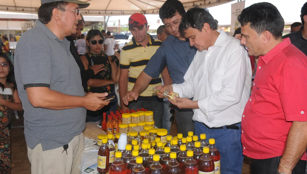 Governador Wellington Dias no ExpoAgro em Piripiri 