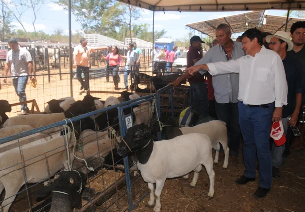 Governador participa de Feira Agropecuária de Piripiri