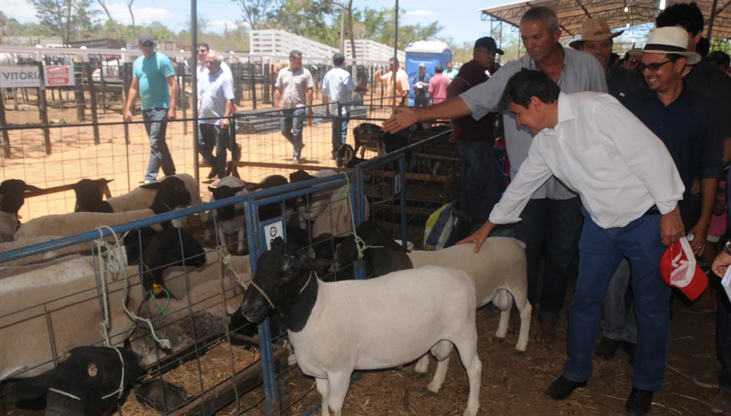 Wellington Dias visitou a ExpoAgro 