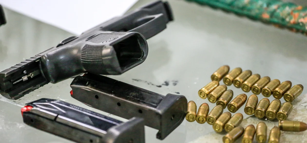 Armas e munições apreendidas