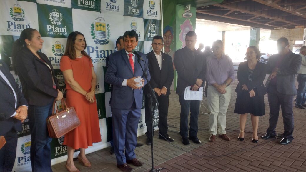 Wellington Dias oficializa a carnaúba como árvore símbolo do Piauí