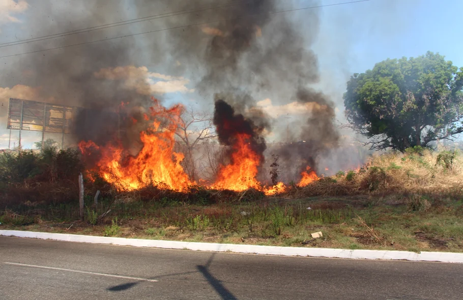 Foto quase invadiu a Avenida dos Ipês
