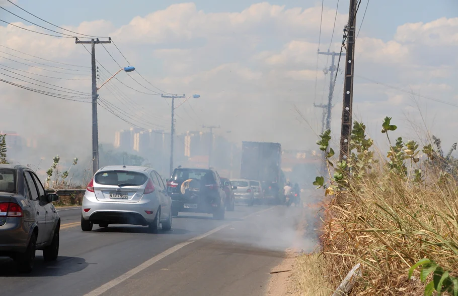 Incêndio invade acostamento da BR-343 e Avenida dos Ipês em Teresina
