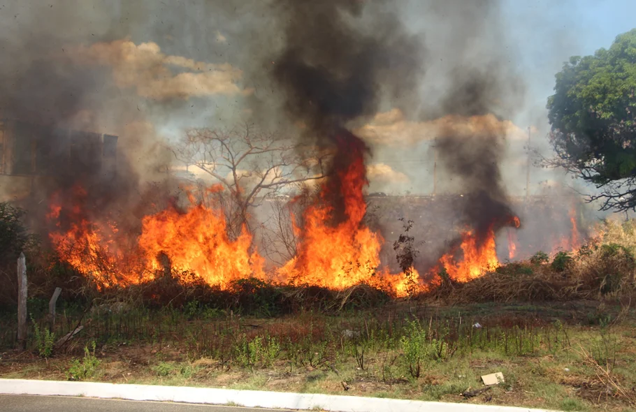 Incêndio tomou grandes proporções