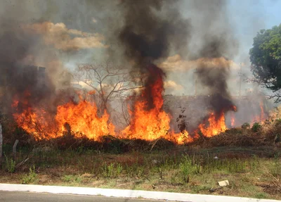 Incêndio tomou grandes proporções