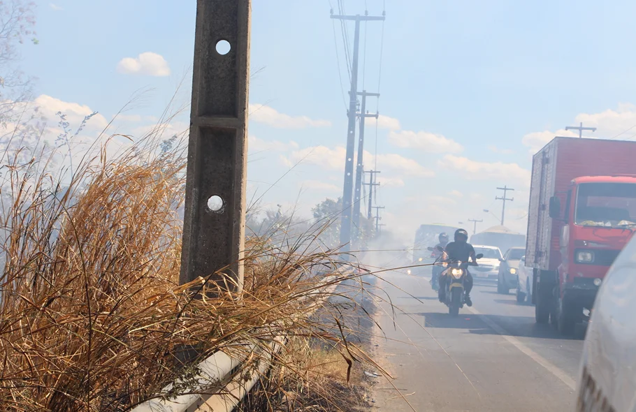 Vento espalhou as chamas por diversos pontos da área
