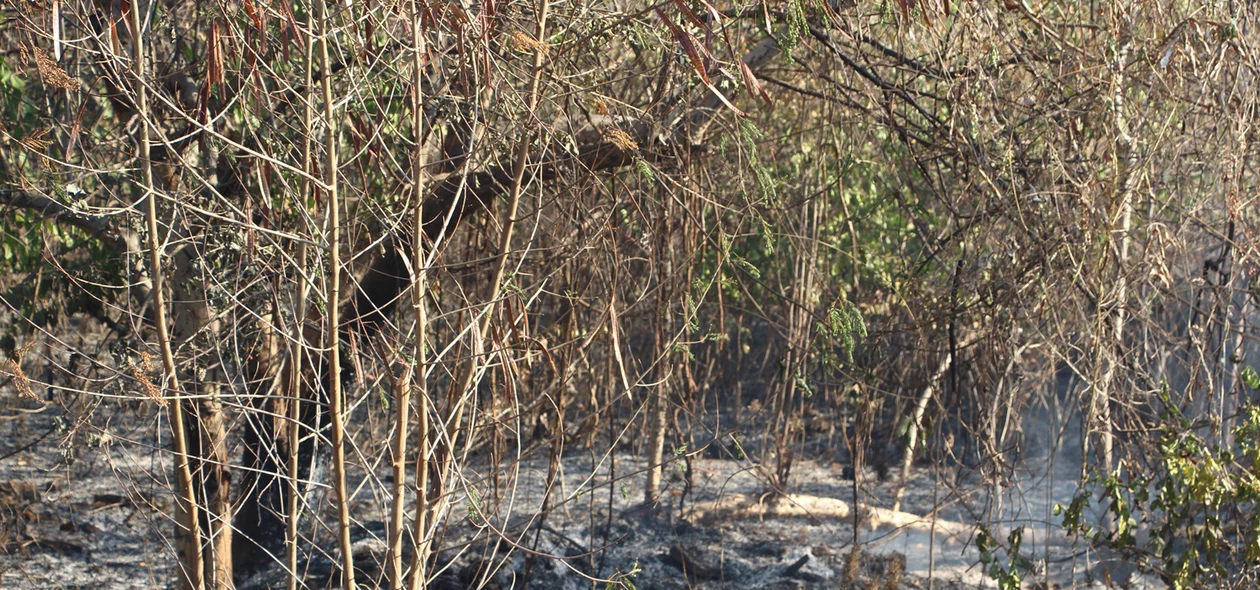 Incêndio de grandes proporções