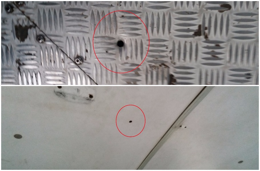 Ônibus foi alvejado