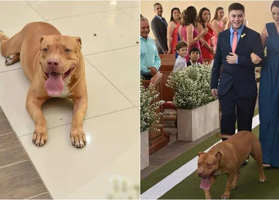 Cachorro é atração de casamento em Teresina