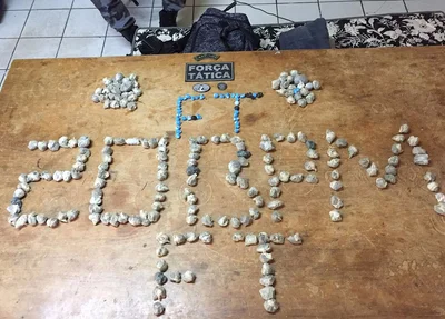 Drogas apreendidas em Paulistana