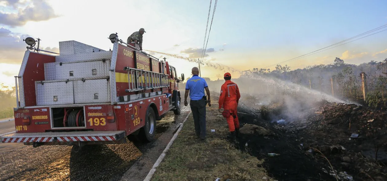 Bombeiros atuam contra as chamas