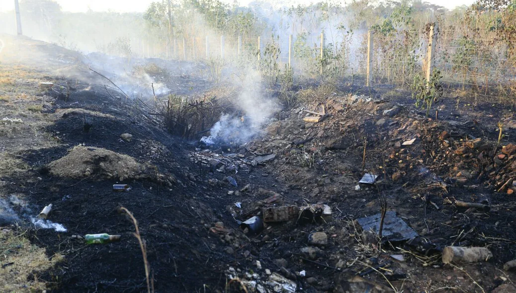 Fogo consumiu parte da vegetação
