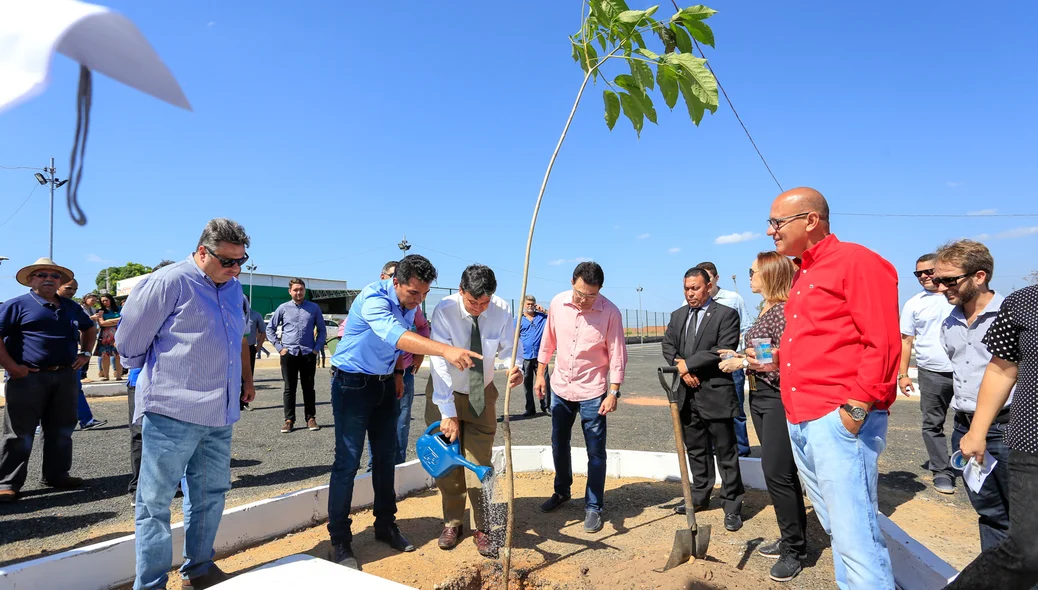 Governador Wellington Dias regando a planta