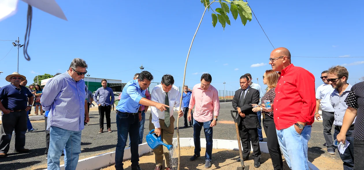 Governador Wellington Dias regando a planta