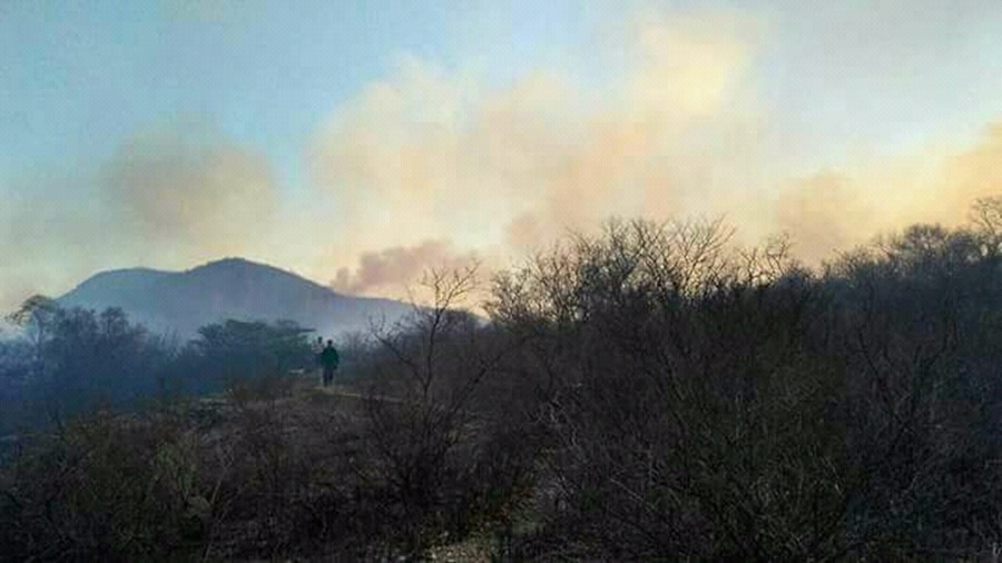 Incêndio em São Raimundo Nonato 