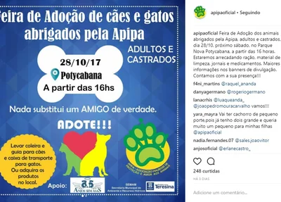 Feira de Adoção de Animais Apipa 