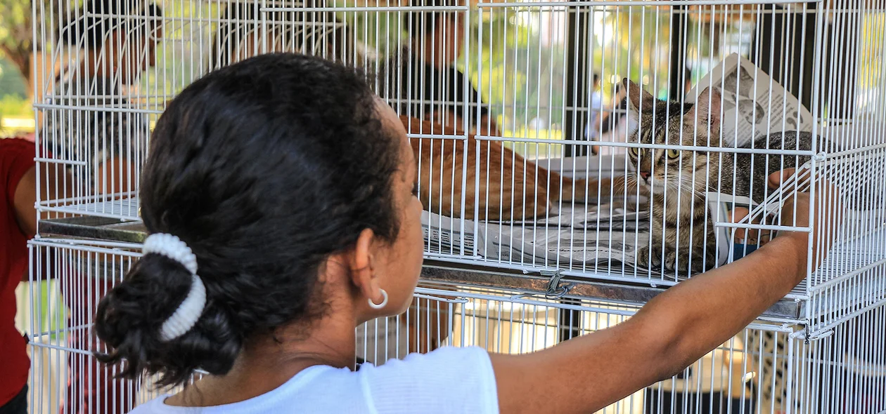 Criança brincando com uma gatinha 