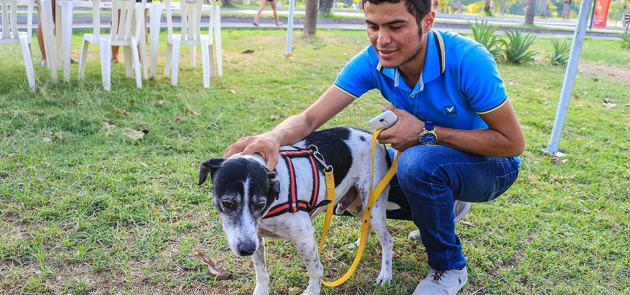 Feira de Adoção de animais organizado pela apipa 
