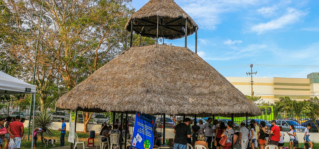 Feira de Adoção dos animais abrigados pela Apipa 