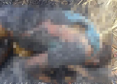 Corpo de homem é encontrado carbonizado nas proximidades do Residencial Jacinta Andrade
