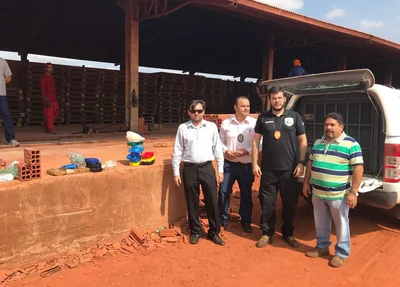 Polícia Civil incinera drogas avaliadas em 500 mil reais em Campo Maior