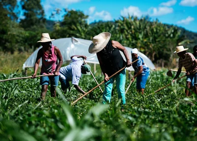 Agricultura familiar