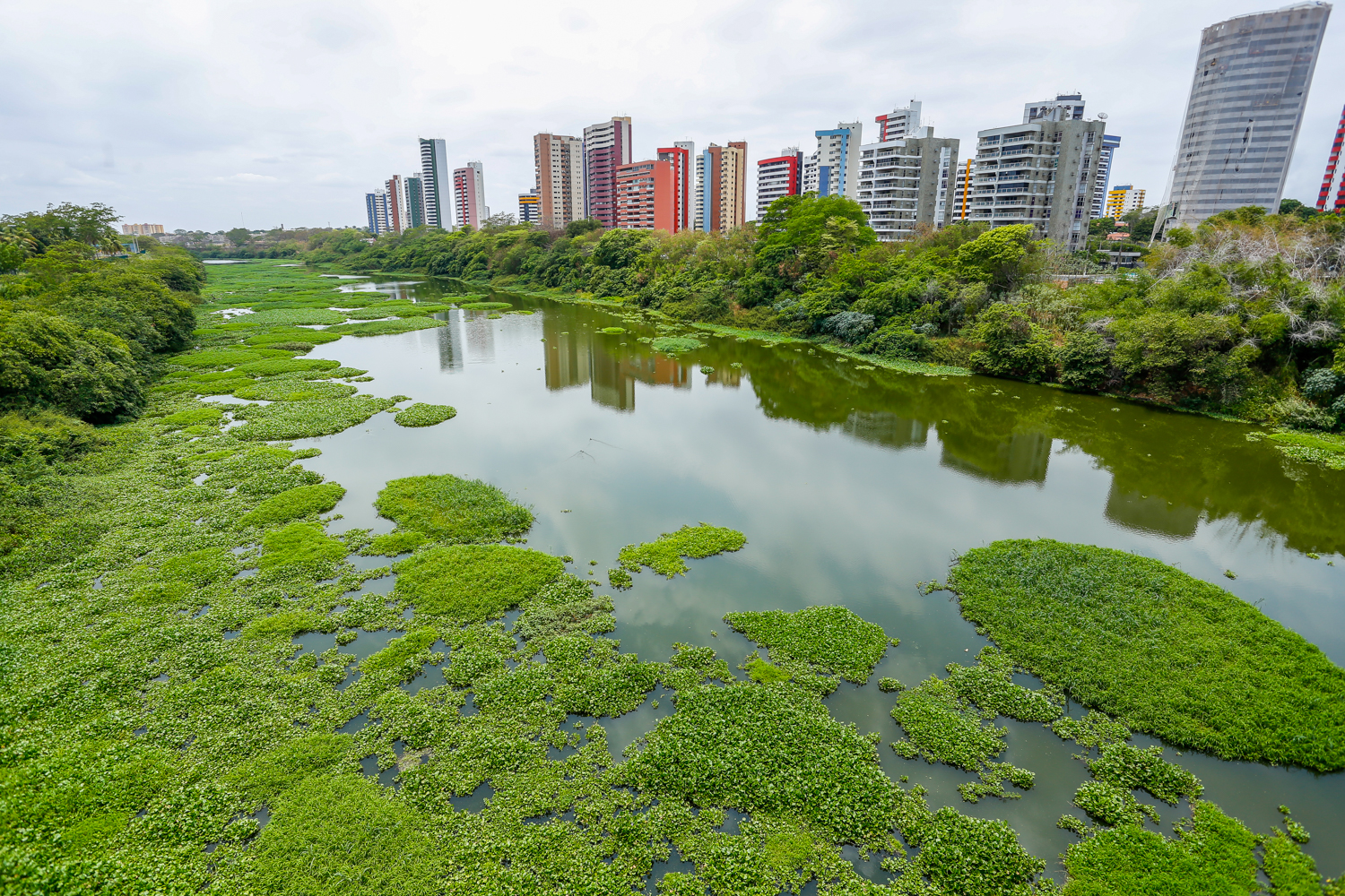 Águapé no Rio Poti em Teresina 