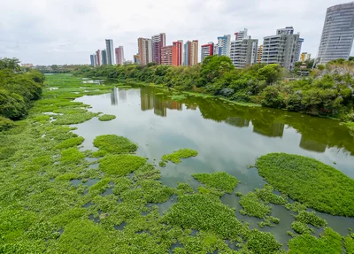 Águapé no Rio Poti em Teresina 