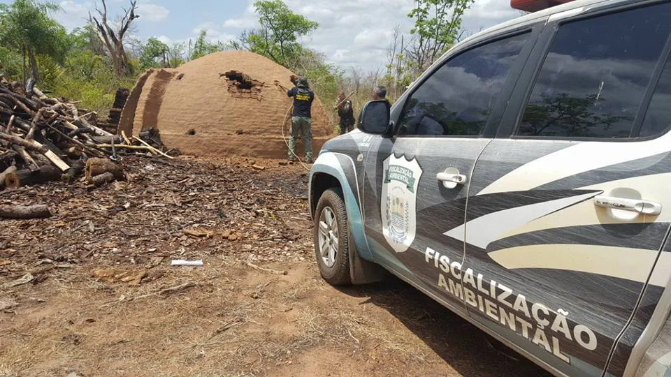 Fiscalização Ambiental 
