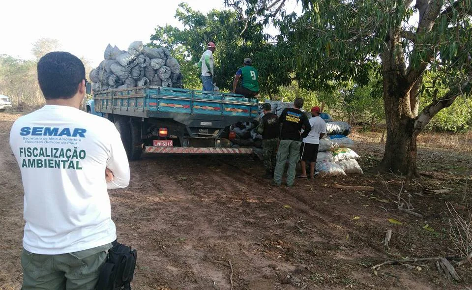 Operação de fiscalização realizada pela Secretaria do Meio Ambiente 