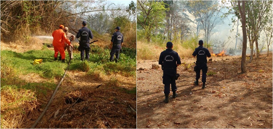 Guardas auxiliaram bombeiros