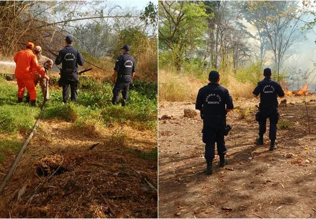 Guardas auxiliaram bombeiros