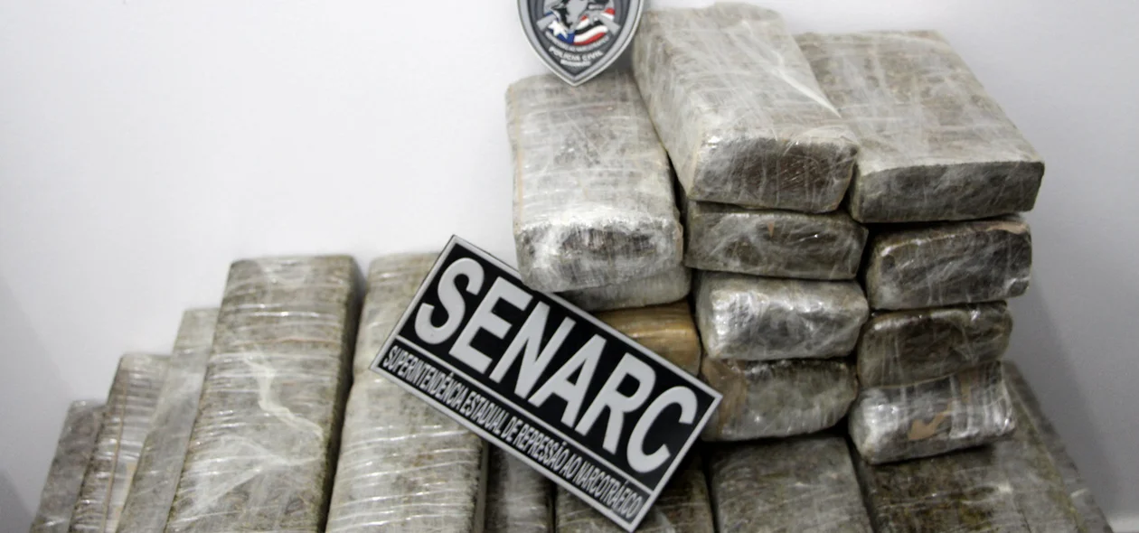 As drogas foram encontradas através dos cães farejadores